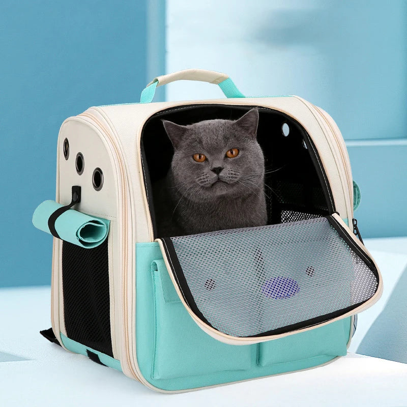 Panier de transport transparent pour chat