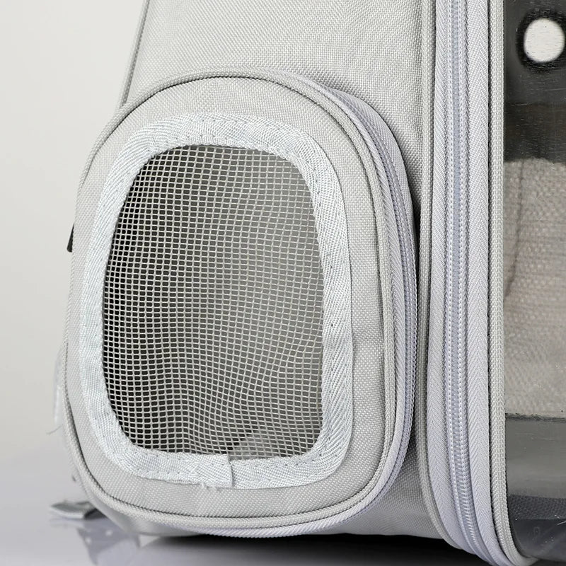 Sac Transparent Chat