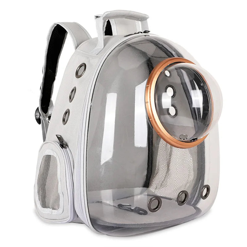 Sac Transparent Chat