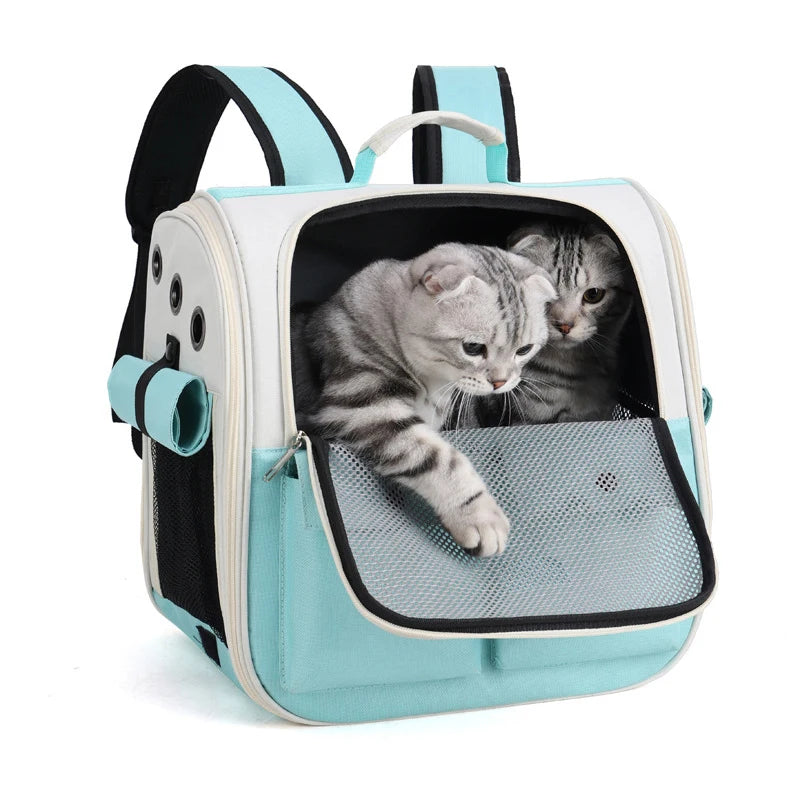 Panier de transport transparent pour chat