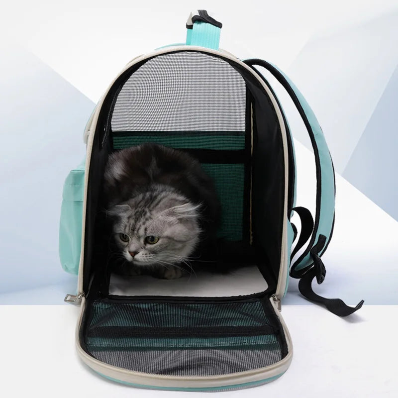 Panier de transport transparent pour chaton