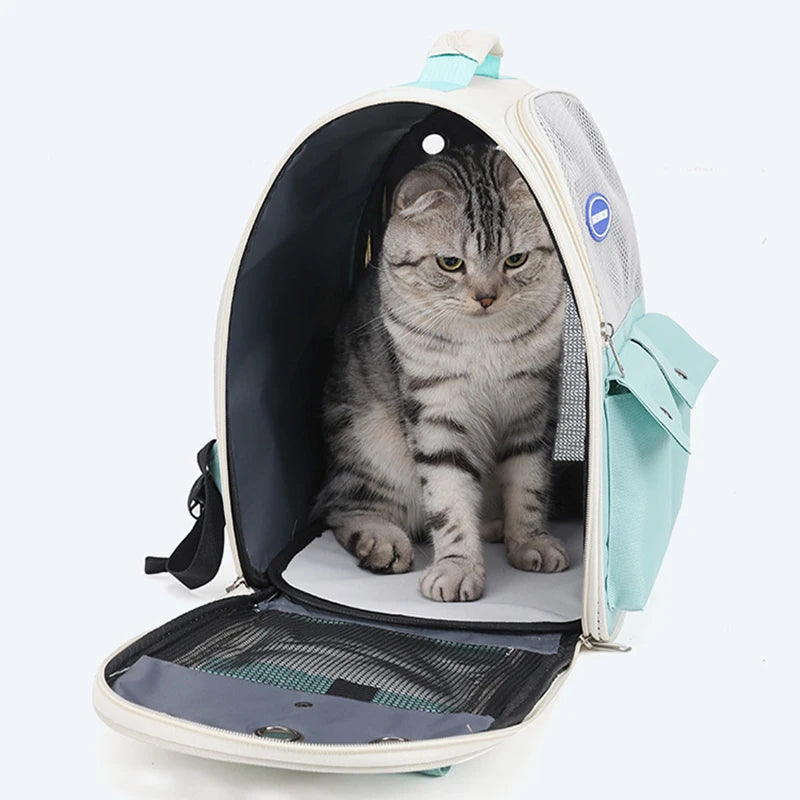 Panier de transport transparent pour chat