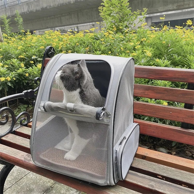 Sac pour chat transparent extensible