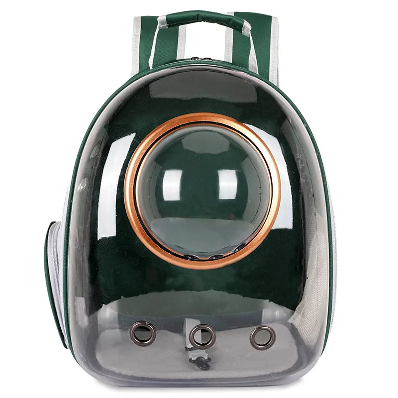 Sac Transparent Chat