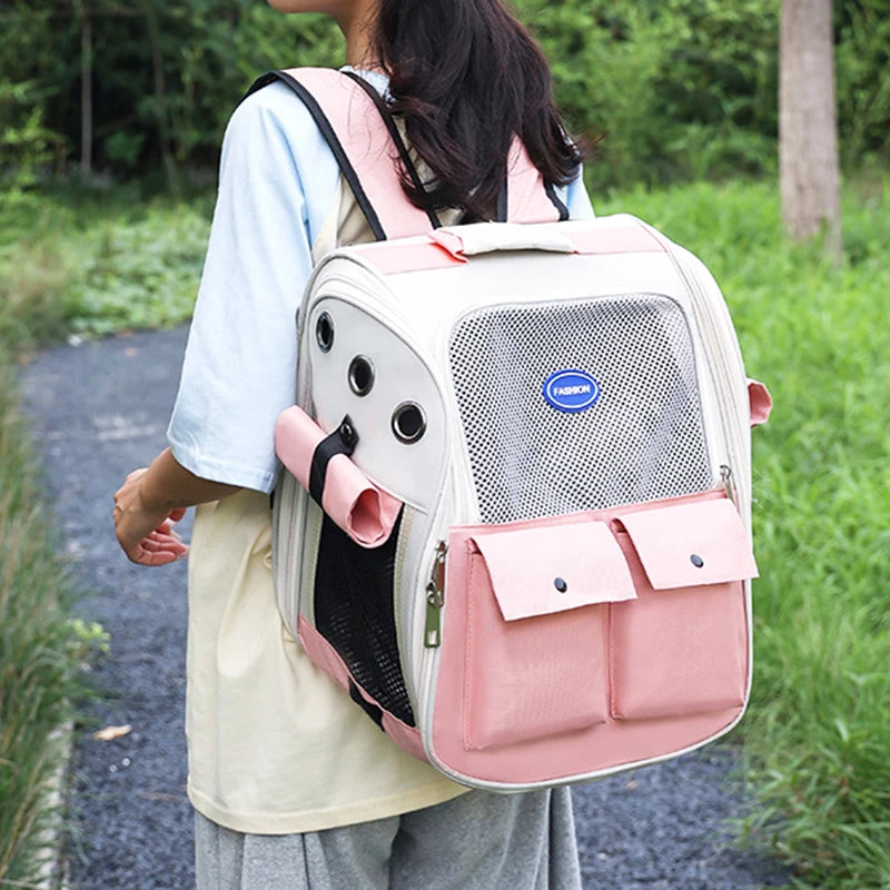 Panier de transport transparent pour chat
