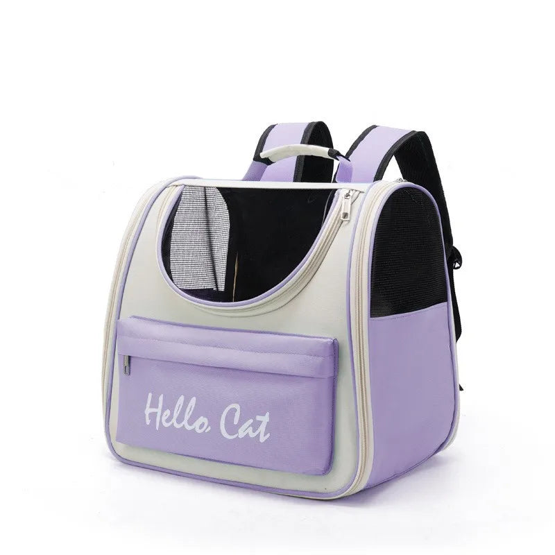 Panier de transport transparent pour chaton