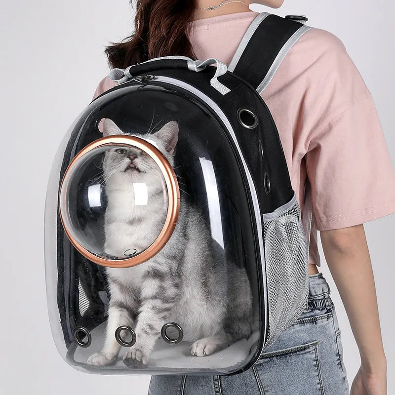 Sac Transparent Chat