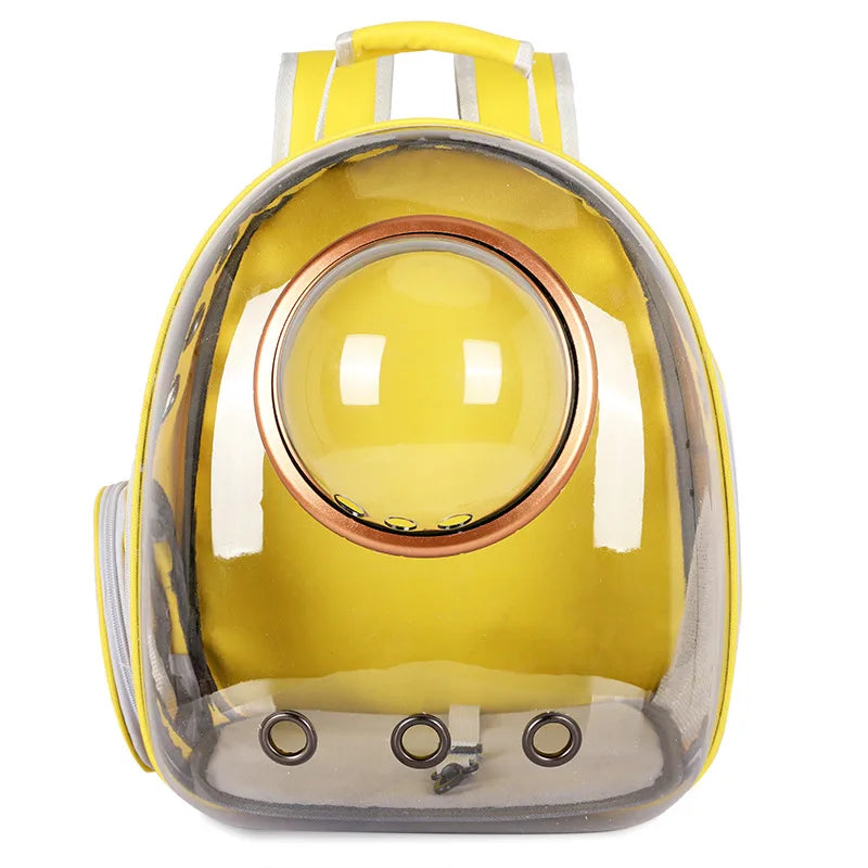 Sac Transparent Chat