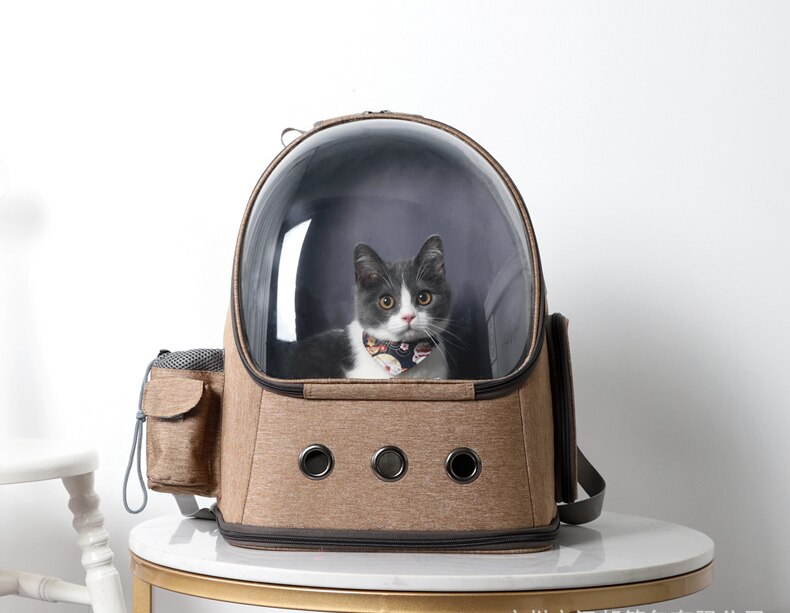 Sac a dos transparent chat