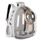 Sac Transparent Chat