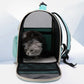 Panier de transport transparent pour chaton