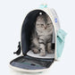 Panier de transport transparent pour chat
