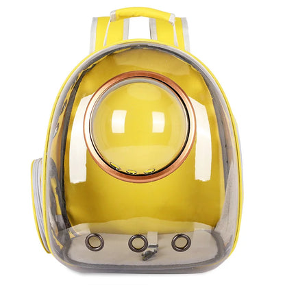Sac Transparent Chat
